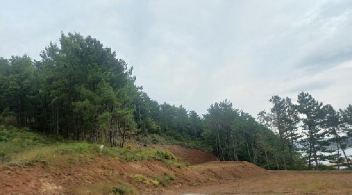경상남도 거제시 거제면 법동리 산157-6 임야 경매 사진 34