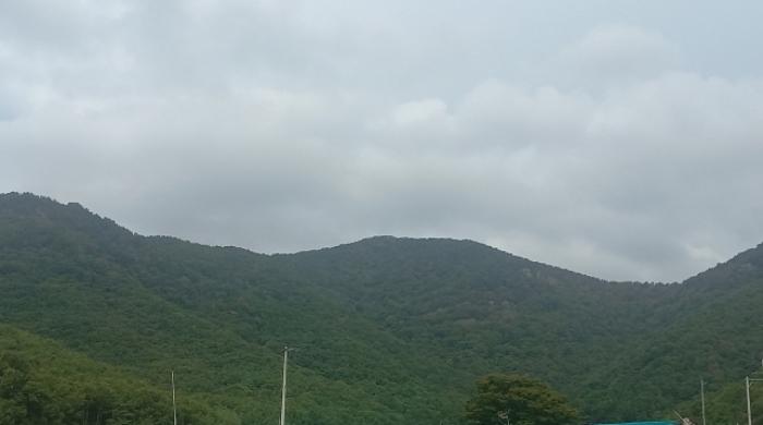 경상남도 거제시 연초면 오비리 산18-5 임야 경매 사진 5