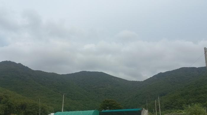 경상남도 거제시 연초면 오비리 산18-5 임야 경매 사진 6