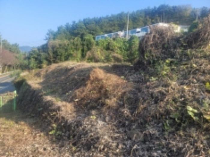 경상남도 통영시 도산면 오륜리 515 답 경매 사진 9