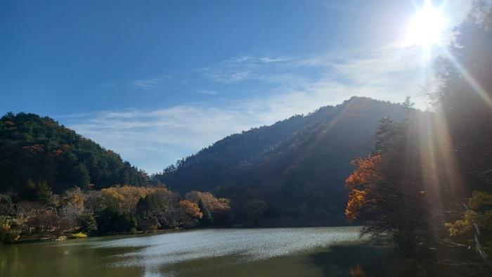 경상남도 거제시 연초면 죽토리 산83-1 임야 경매 사진 1