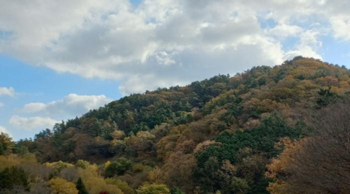 경상남도 거제시 연초면 죽토리 산83-1 임야 경매 사진 8