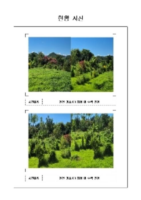 전라남도 영암군 군서면 월곡리 378-90 전 경매 사진 3