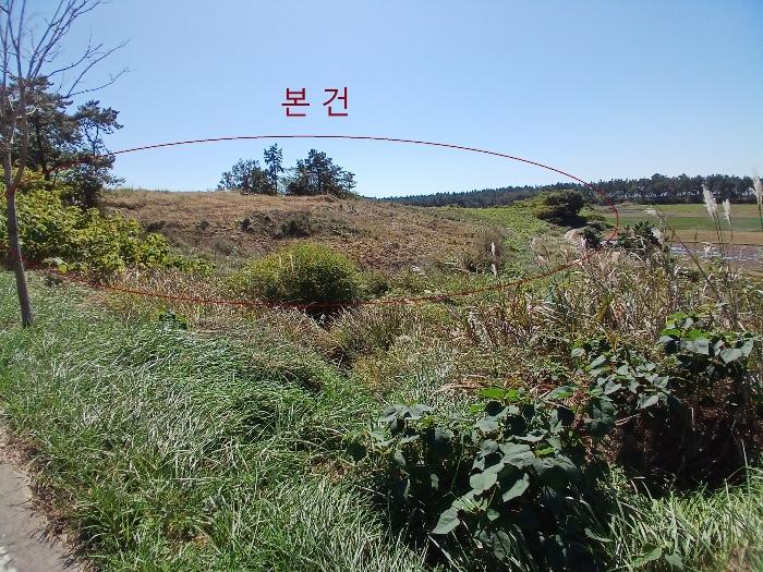전라남도 신안군 자은면 유각리 961-2 전 경매 사진 5