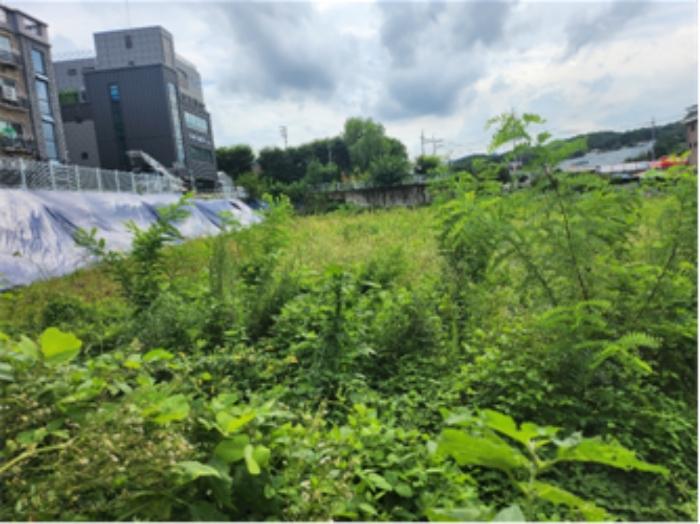 경기도 남양주시 화도읍 월산리 387-1 대지 경매 사진 2