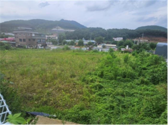 경기도 남양주시 화도읍 월산리 387-1 대지 경매 사진 3