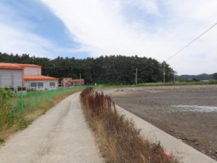 충청남도 태안군 소원면 송현리 642-1 창고 경매 사진 19