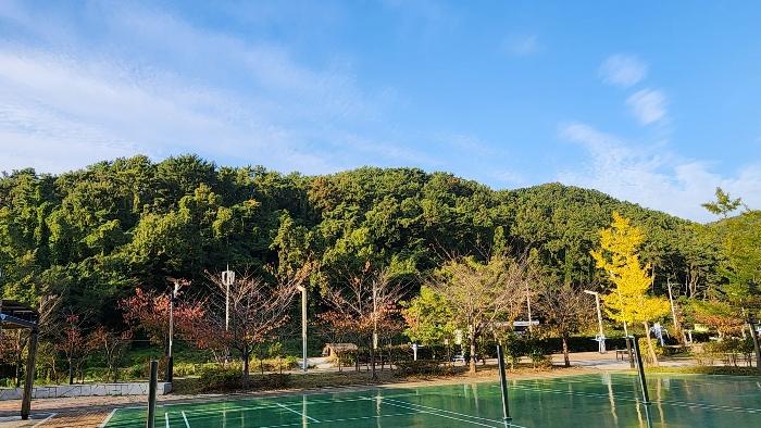 경상남도 창원시 진해구 청안동 산37 임야 경매 사진 1