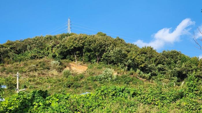 경상남도 창원시 진해구 청안동 산37 임야 경매 사진 3