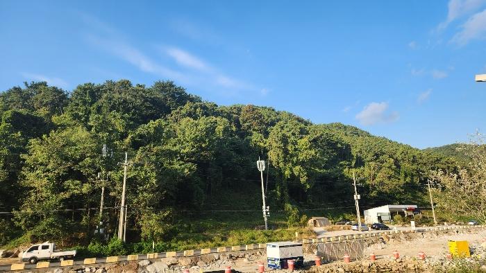경상남도 창원시 진해구 청안동 산37 임야 경매 사진 4