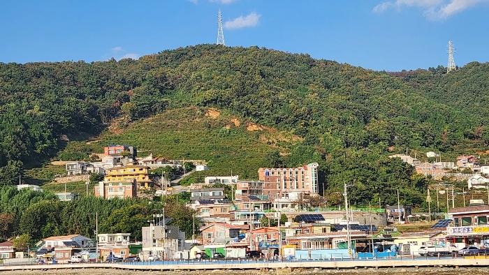 경상남도 창원시 진해구 청안동 산37 임야 경매 사진 6