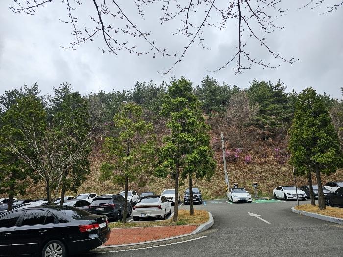 울산광역시 남구 용연동 산145 임야 경매 사진 4