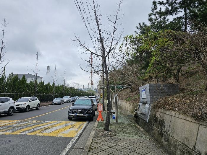 울산광역시 남구 용연동 산145 임야 경매 사진 6
