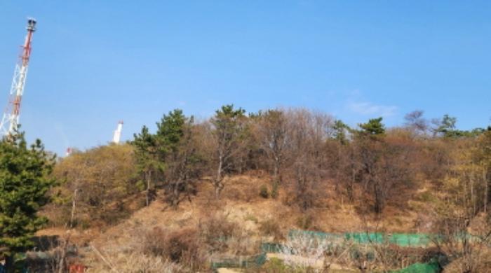 울산광역시 남구 용연동 산145 임야 경매 사진 9