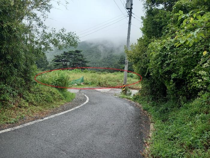 울산광역시 울주군 두서면 전읍리 1241 임야 경매 사진 1