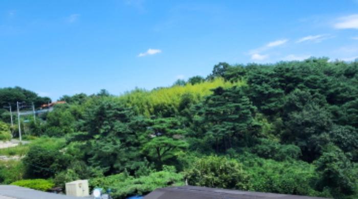 울산광역시 울주군 두서면 전읍리 1241 임야 경매 사진 14
