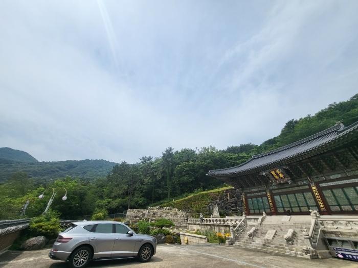부산광역시 사상구 학장동 산158-1 임야 경매 사진 1