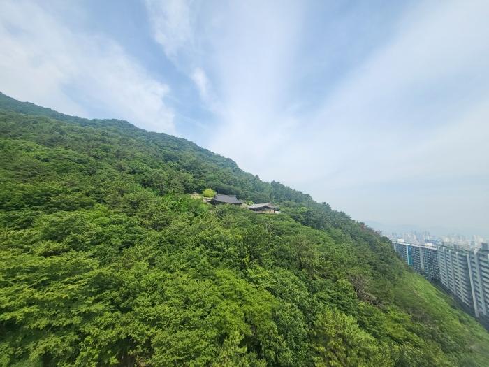 부산광역시 사상구 학장동 산158-1 임야 경매 사진 2