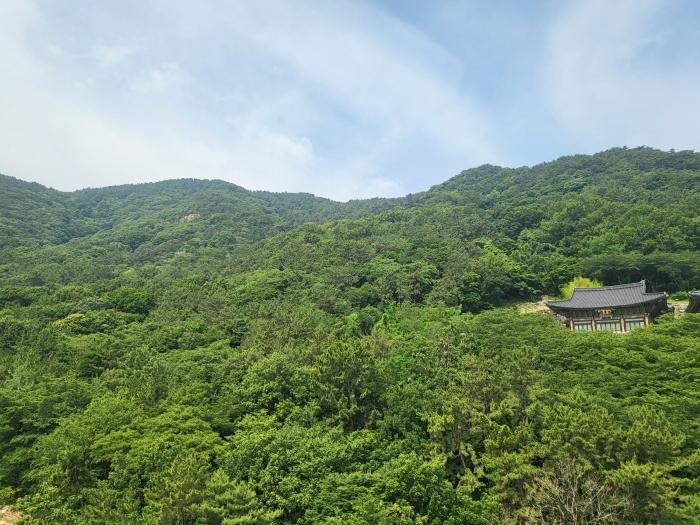 부산광역시 사상구 학장동 산158-1 임야 경매 사진 3
