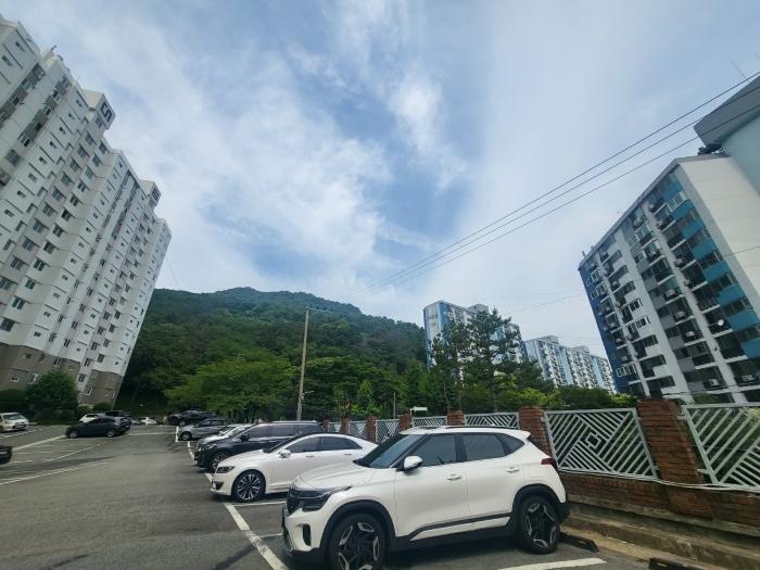부산광역시 사상구 학장동 산158-1 임야 경매 사진 4