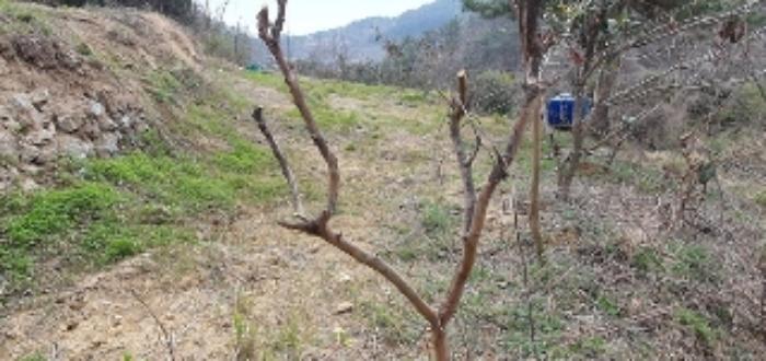경상남도 창원시 마산합포구 구산면 내포리 550 답 경매 사진 5