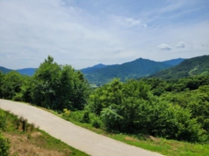 경상남도 하동군 악양면 중대리 509 답 경매 사진 11