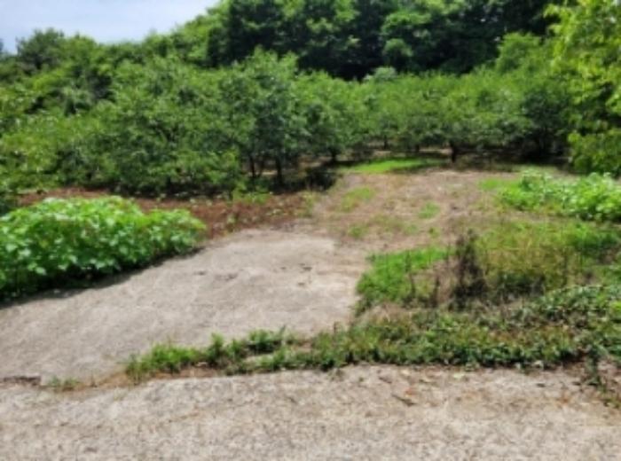 경상남도 하동군 악양면 중대리 509 답 경매 사진 13