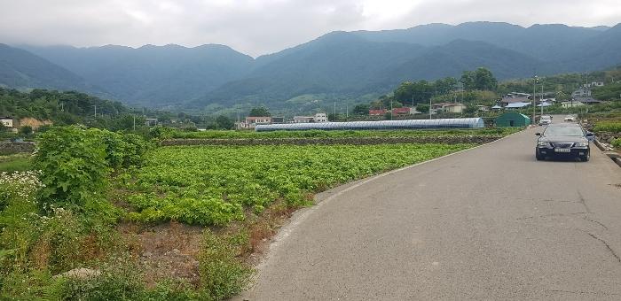 경상남도 하동군 악양면 중대리 509 답 경매 사진 5