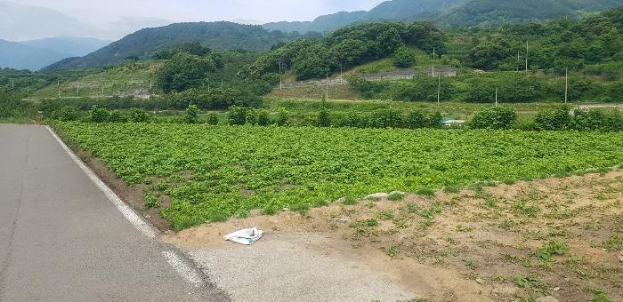 경상남도 하동군 악양면 중대리 509 답 경매 사진 8