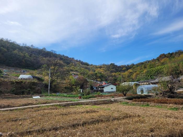 경상남도 밀양시 상남면 예림리 1020 답 경매 사진 9