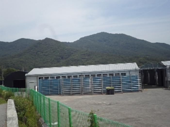 경상남도 밀양시 무안면 양효리 242 창고 경매 사진 17
