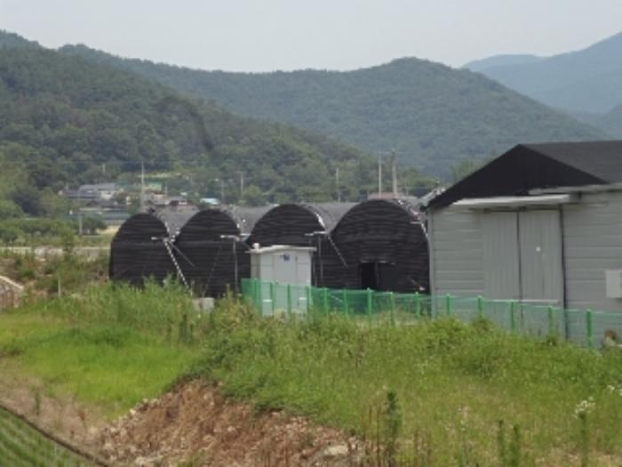 경상남도 밀양시 무안면 양효리 242 창고 경매 사진 22