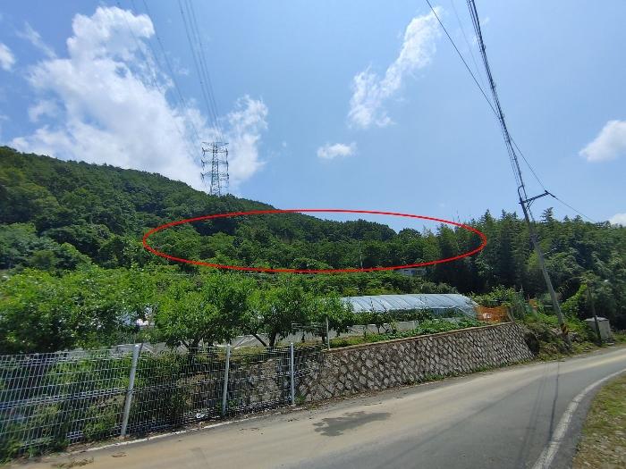 경상남도 밀양시 청도면 요고리 415 전 경매 사진 6