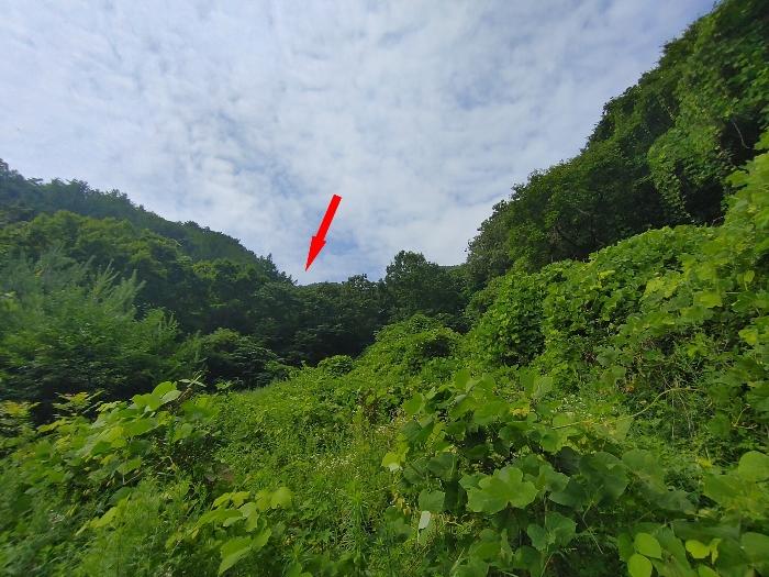 경상남도 밀양시 단장면 무릉리 1349 전 경매 사진 2