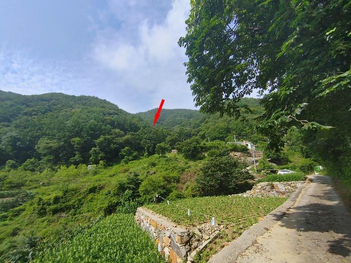 경상남도 밀양시 단장면 무릉리 1349 전 경매 사진 4