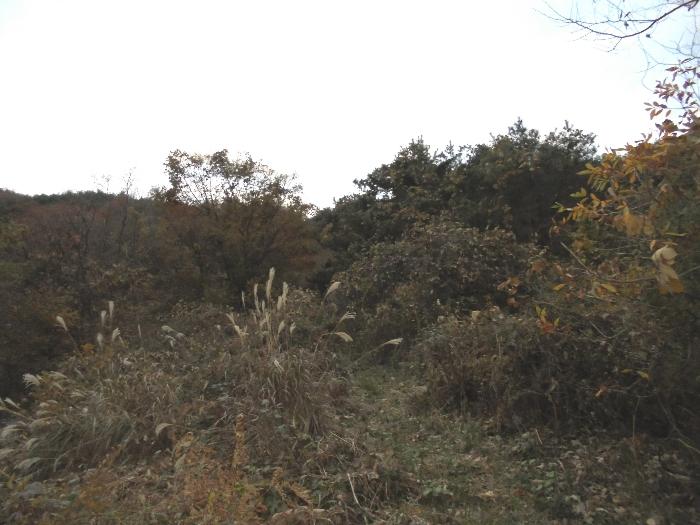 경상남도 밀양시 답