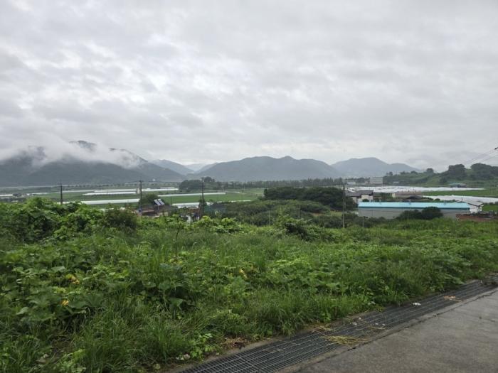 경상남도 밀양시 상남면 평촌리 773-2 묘지 경매 사진 2