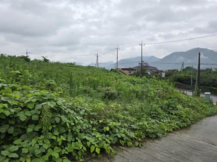 경상남도 밀양시 상남면 평촌리 773-2 묘지 경매 사진 4
