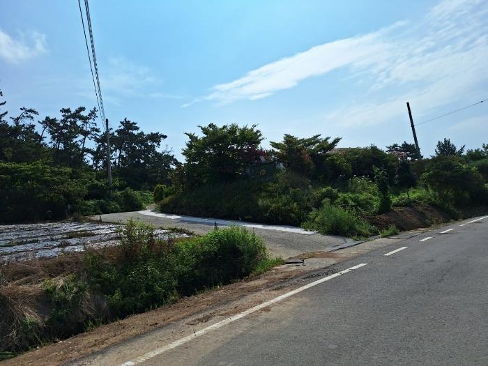 전라남도 신안군 증도면 대초리 1157 펜션(캠핑장) 경매 사진 1