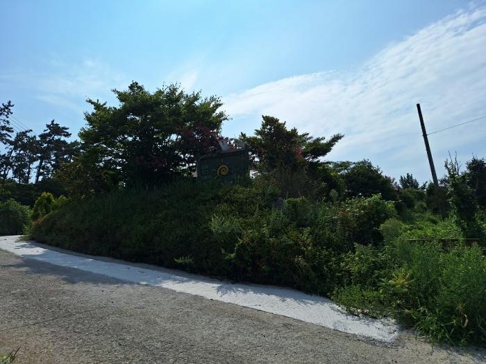 전라남도 신안군 증도면 대초리 1157 펜션(캠핑장) 경매 사진 17