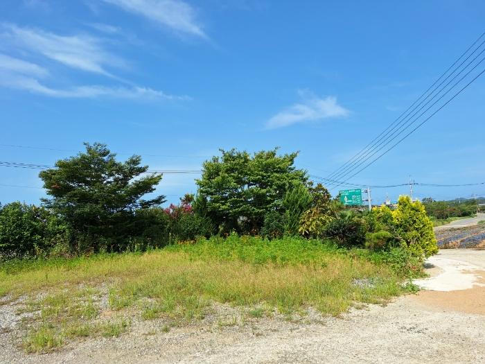 전라남도 신안군 증도면 대초리 1157 펜션(캠핑장) 경매 사진 28