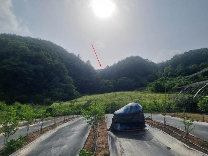 강원특별자치도 원주시 문막읍 비두리 282 전 경매 사진 1
