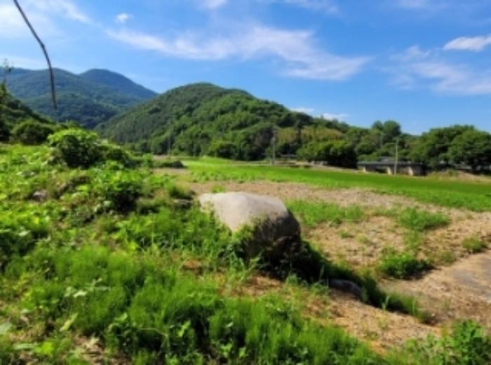 경상남도 하동군 옥종면 월횡리 86 답 경매 사진 12