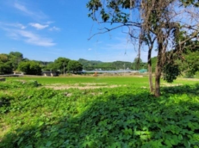 경상남도 하동군 옥종면 월횡리 86 답 경매 사진 15