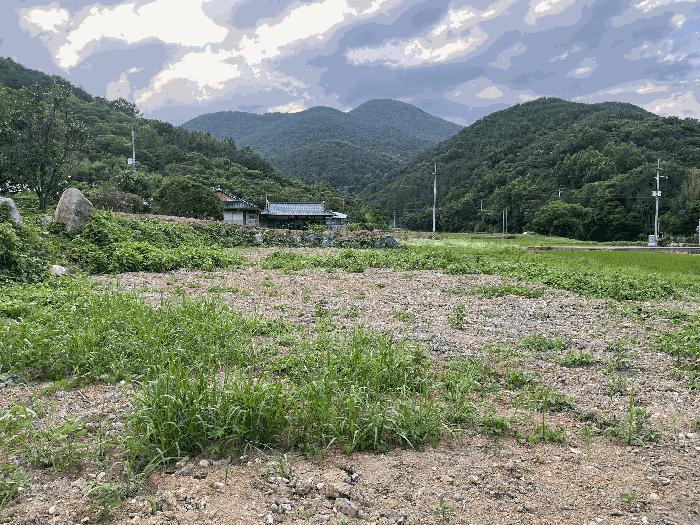 경상남도 하동군 옥종면 월횡리 86 답 경매 사진 5