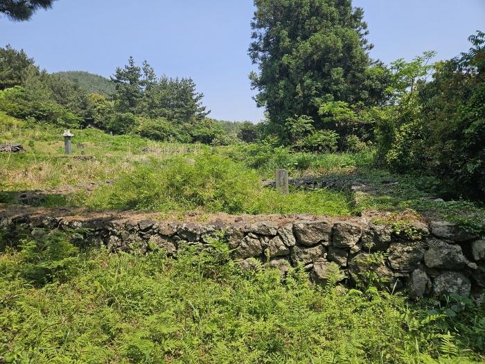 제주특별자치도 서귀포시 표선면 토산리 702 창고 경매 사진 10