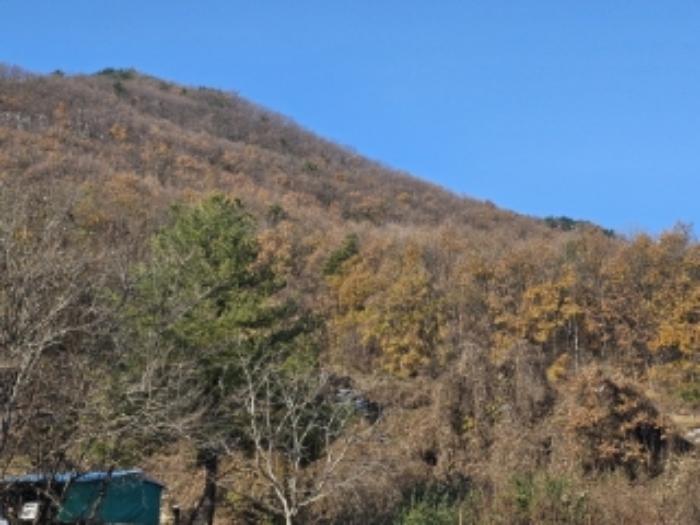 충청남도 아산시 배방읍 수철리 산126-5 임야 경매 사진 3