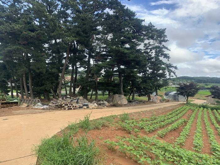 충청남도 태안군 태안읍 반곡리 708-11 전 경매 사진 1