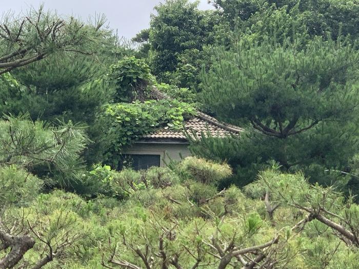 충청남도 태안군 태안읍 반곡리 708-11 전 경매 사진 23