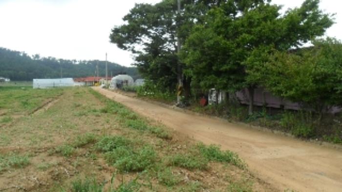 충청남도 태안군 태안읍 반곡리 708-11 전 경매 사진 28